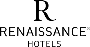 رينسxxانس